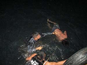 news resel dumangas