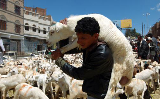 nation eid'l adha