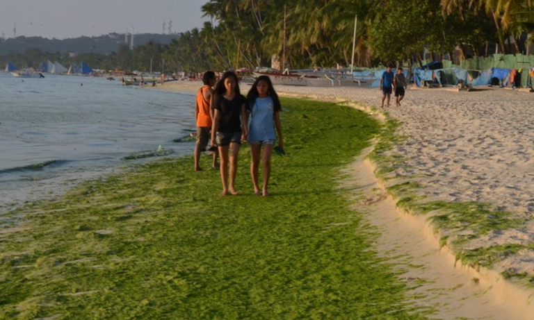 region boracay 2