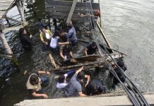 Bridge collapses; NegOcc rep falls