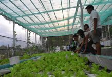 DOT seeks new tour circuits for Western Visayas