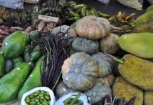 DTI bullish on ‘farm circuits’