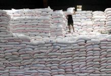 Duterte: ‘I don’t believe we can be rice self-sufficient’