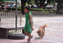Iloilo province lacks anti-rabies vaccines