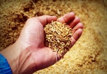 ‘Rice prices must be fair’