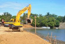 Esplanade expansion needs reclamation permit