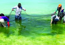DENR finds 24 ‘illegal’ drainage connections in Boracay