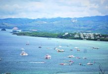 Body to oversee proposed critical habitats in Boracay