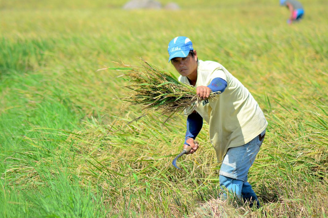 land-for-the-landless