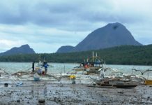 5th Dist. tops Iloilo tourist arrivals