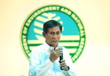 DENR seeks P3B for for key programs Environment secretary Roy Cimatu