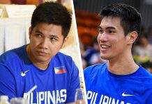 Pogoy, Rosario to miss Iloilo PBA All-Stars
