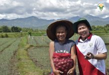 Agri dep’t to strengthen farmers’ loan program