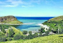 Antique to offer ‘experiential tourism’ for cruise passengers