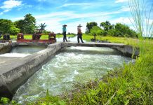 Dam project to address flood problem in Culasi