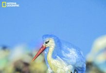 Sampulna: Life without plastics ‘more beautiful’