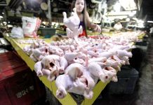Agri dep’t, DTI eye suggested retail prices on pork, chicken