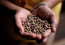 NegOcc coffee industry mulls ‘localized’ action plan