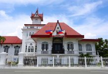 ‘Museums evolve into educational platforms’