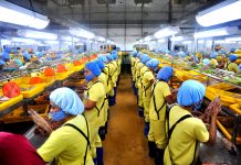 Pay hike for workers in ARMM, Eastern Visayas approved