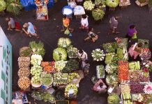 ‘Suspending TRAIN to have minimal, short-term impact on PH inflation’