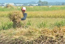W. Visayas minimum wage hike takes effect July 12