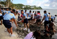 DOLE exec upbeat on Western Visayas employment situation