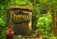 P667-M new tourism infra seen to lift Bacolod higher