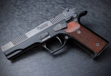 Unlicensed gun lands man in jail