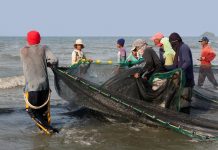 New community fish landing centers in Aklan