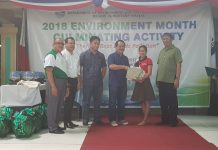 DENR recognizes ‘env’t partners’
