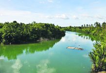 Cimatu: Monitor solid waste mgt in Antique