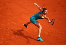 Halep beats Stephens in French Open