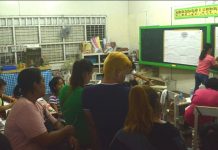 ‘Region 6 voters don’t value brgy election’