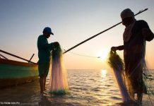 ‘Illegal fishing’ puts 11 men behind bars