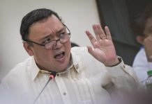 Palace: June inflation not alarming