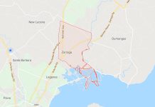 2 village officials shot in Zarraga