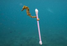 Manufacturers clutching at straws as war on plastic rages