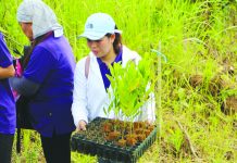 9.6T acacia trees planted in Tapaz