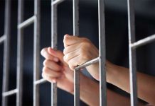Canadian detained in China released