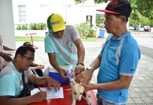 Number of rabid dogs in Negros up