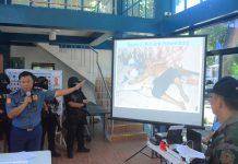 PNP cites Iloilo top cop