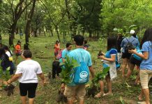 5 areas suitable for cacao, coffee production named