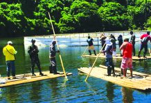 Boracay forestland clearing ops slow