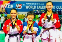 Capiz, Bacolod jins reap medals in SoKor world tilt
