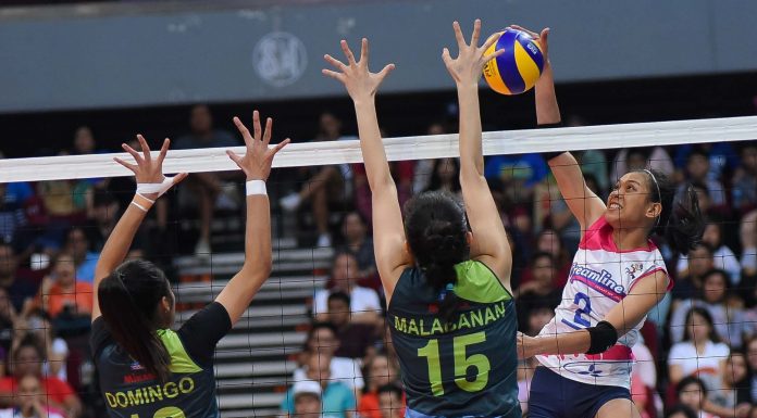 sports creamline