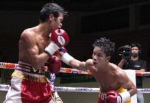 Negrense pug seeks world title in Africa