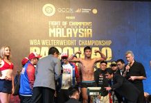 Unbeaten Tepora gets shot at world title bout