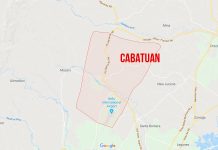 Cabatuan mayor defends P40-M market