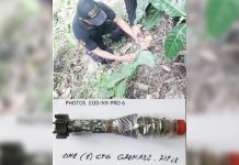Bomb found in Makato coconut plantation